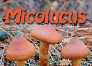 Micolucus   Revista online